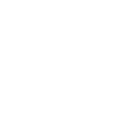 Injury Rehabilitation